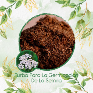 Sustratos Para Achillea Milenrama Blanca