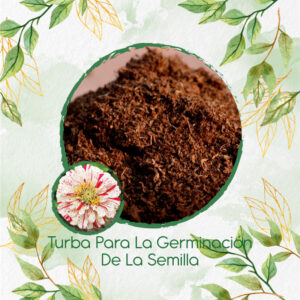 Sustratos Para Zinnia Menta Doble