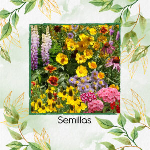 Kit Jardín Abeja Feliz - Flores Atrayentes De Polinizadores