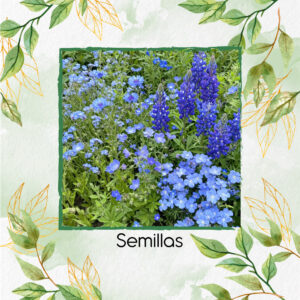 Kit Jardín Paraíso Azul - Mezcla De Flores Azules