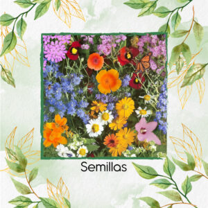 Kit Jardín Vuelo De Colores - Flores Para Mariposas