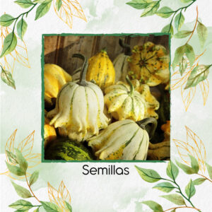 Semillas Orgánicas De Calabaza Corona De Espinas