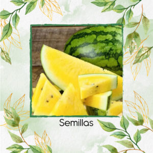 Semillas Orgánicas De Fruta Sandía Pulpa Amarilla Moon & Stars