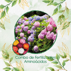 Kits De Fertilizantes Para Flor De Paja Doble Alta
