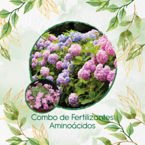 Kits De Fertilizantes Para Saponaria