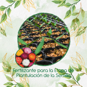 Fertilizantes Individuales Para Flor De Paja Doble Alta