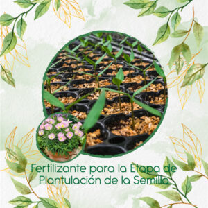 Fertilizantes Individuales Para Oenothera Onagra