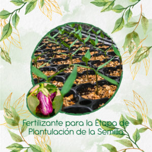 Fertilizantes Individuales Para Berenjena Pandora Rosa