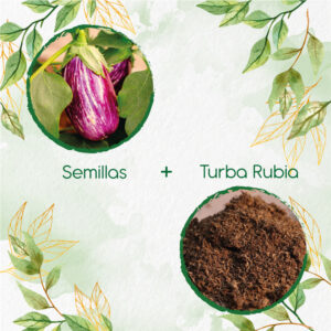 Kits De Siembra Para Berenjena Pandora Rosa