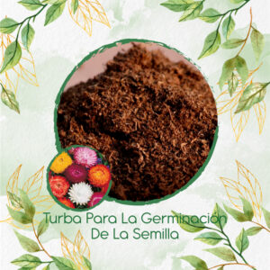 Sustratos Para Flor De Paja Doble Alta