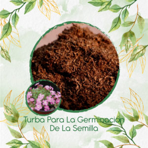 Sustratos Para Saponaria