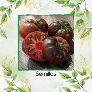 Semillas Orgánicas De Tomate Brandywine Black
