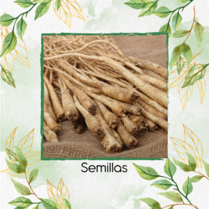 Semillas Orgánicas De Toraji