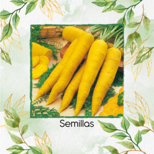 Semillas Orgánicas De Zanahoria Sol Naciente