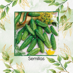 Pepinillo Parisino Híbrido AAS F1