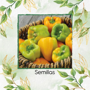 Semillas De Pimentón Amarillo Crema Flavorburst Híbrido F1