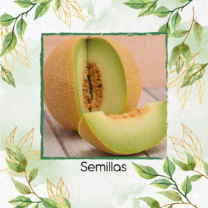 Semillas De Melón Blanco Arava Híbrido F1