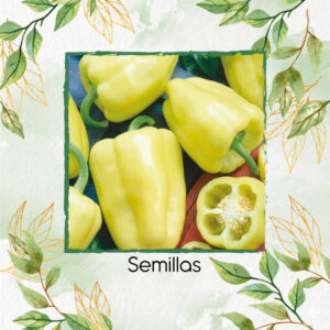 Semillas De Pimentón Blanco Zinfandel Híbrido F1