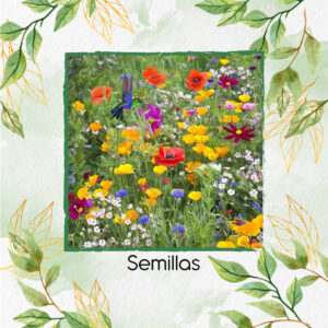 Semillas Orgánicas De Flores Para Atraer Colibríes