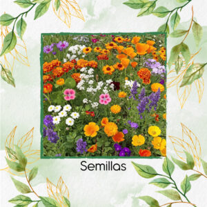 Semillas Orgánicas De Flores De Tamaño Medio