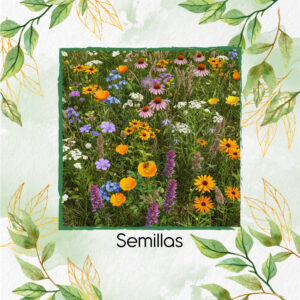 Semillas Orgánicas De Flores Para Atraer Abejas