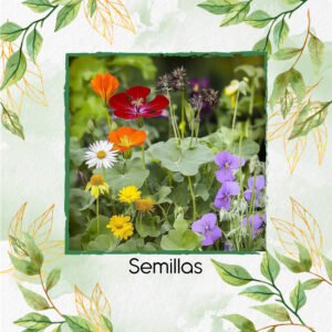Semillas De Flores Comestibles