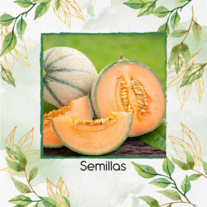 Semillas Orgánicas De Melón Cantalupo