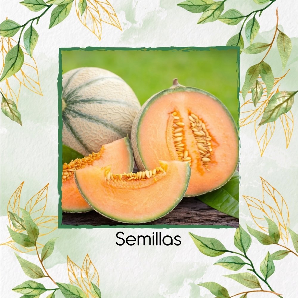 Semillas Orgánicas De Melón Cantalupo