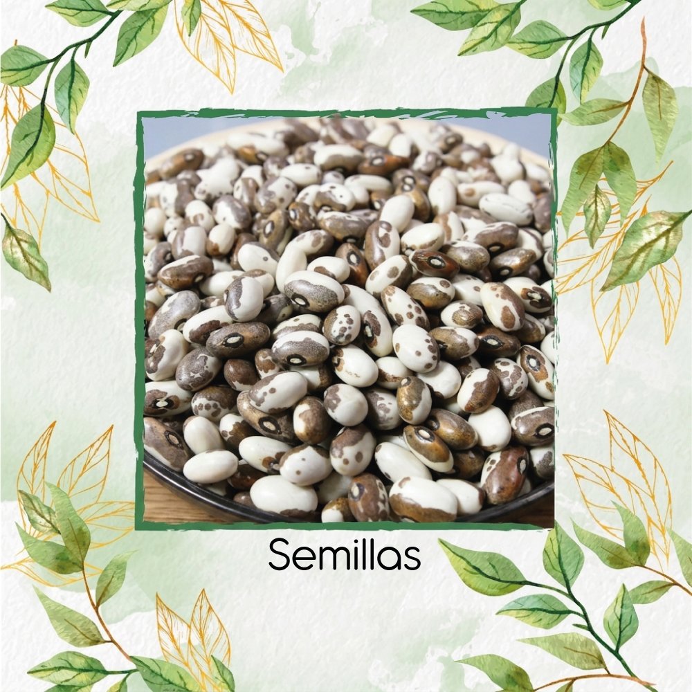 Semillas Orgánicas De Frijol Gris Moteado
